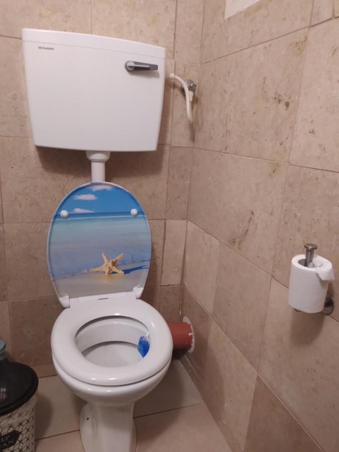אצלנו בקיבוץ Apartman Amir Kültér fotó